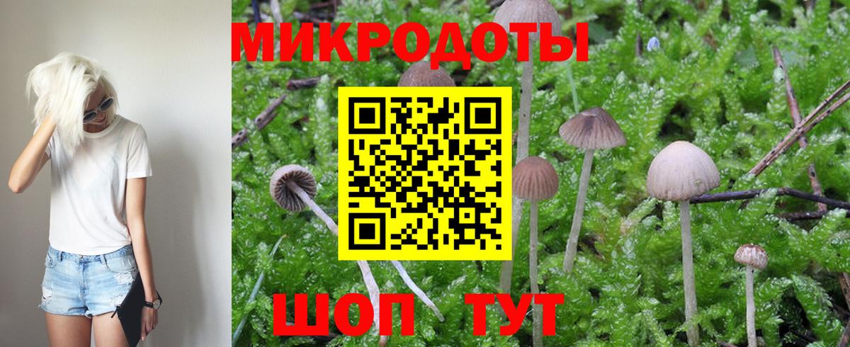 Сегежа  Галлюциногенные грибы GOLDEN TEACHER  Вход с VPN 