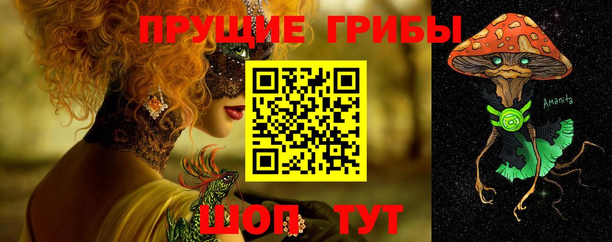 Псилоцибиновые грибы прущие грибы Сегежа